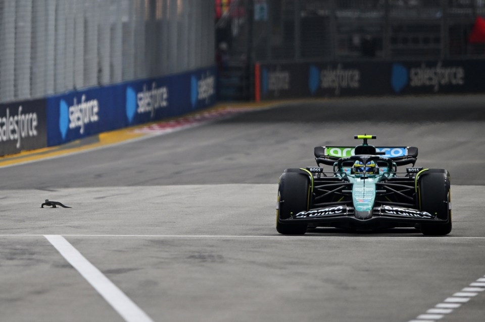 Fernando Alonso gave the lizard, named 'Lionel', a wide berth