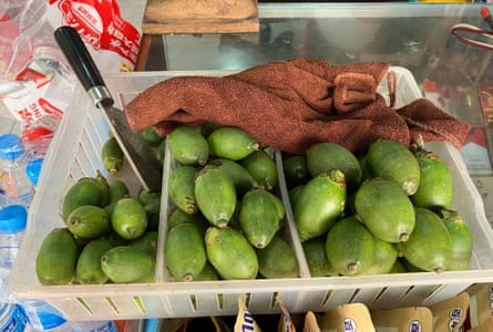 ‘Fruit of the devil’: Hainan’s betel nut sellers suffer from stuttering economy