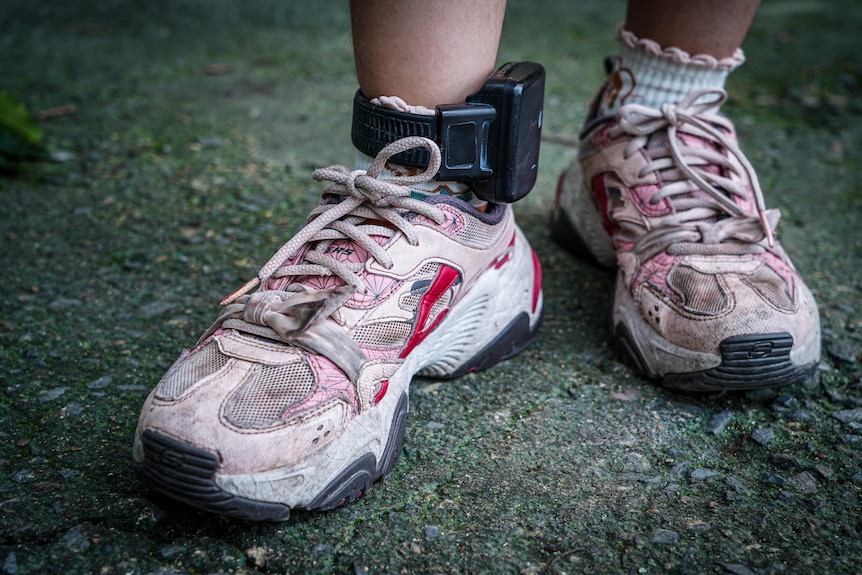 A close up shot of a woman's lower legs shows an ankle tracker being worn above scuffed white trainers. 