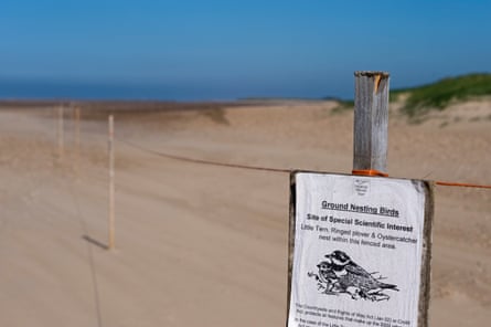 A sign on a roped off area alerts visitors to a ‘Ground Nesting Birds’ sight of special scientific interest