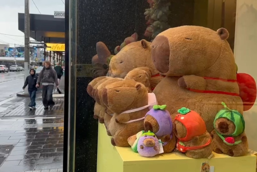 A street view of a capybara toy store.