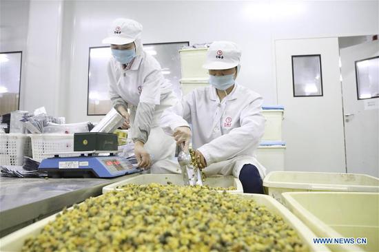 Workers pack up products at a company in Tonglu County of Hangzhou, east China's Zhejiang Province, Nov. 4, 2020. Companies started to prepare for the upcoming Singles Day sale, an online shopping festival. (Photo by Xu Junyong/Xinhua)