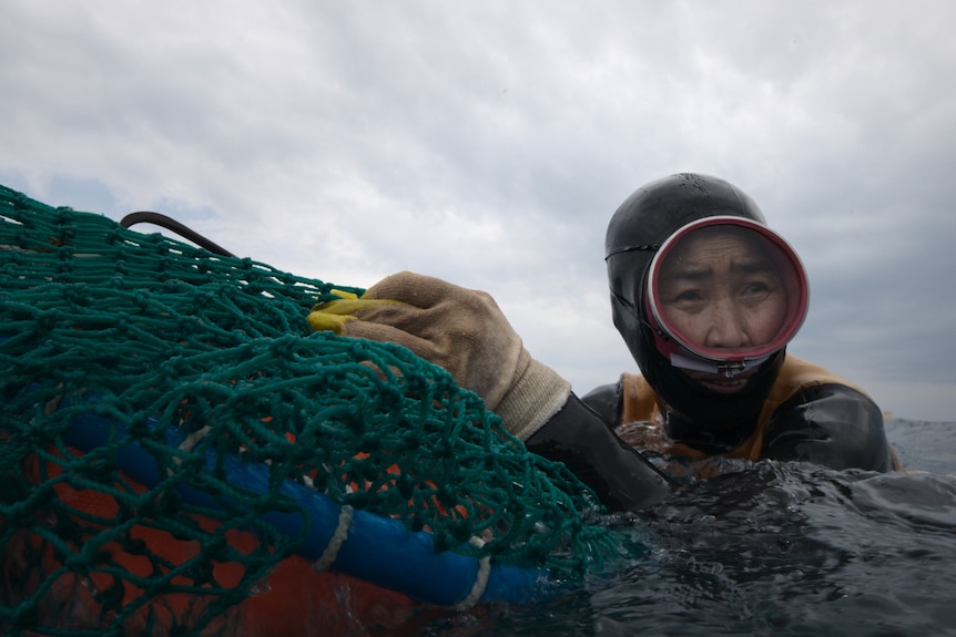 A diver wearing a wetsuit and a snorkel mask is seen above the water holding onto a fishing net.