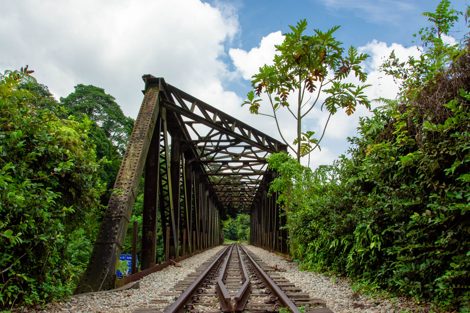 An empty rail line stretching out into the distance. 