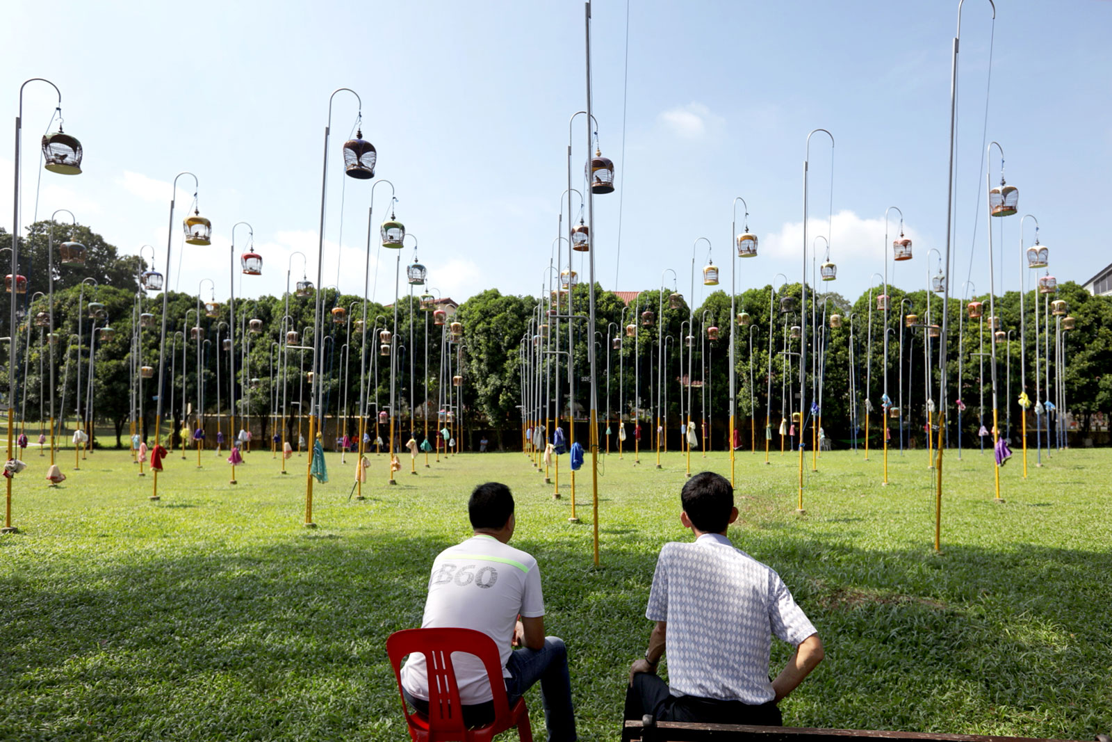 Two men sit in front of a patch of grass dotted with bird cages on poles. 