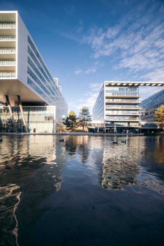 A serene urban scene with two modern, white office buildings flanking a calm, reflective pond. Ducks swim on the water's surface, and the sky is blue with scattered clouds. A pedestrian bridge connects the buildings over the pond.