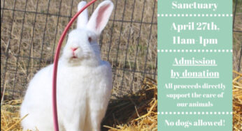 Kelowna’s Happy Hooves Sanctuary to host open house